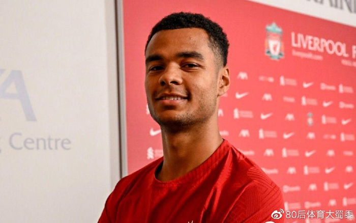 节与案例分 节与案例分