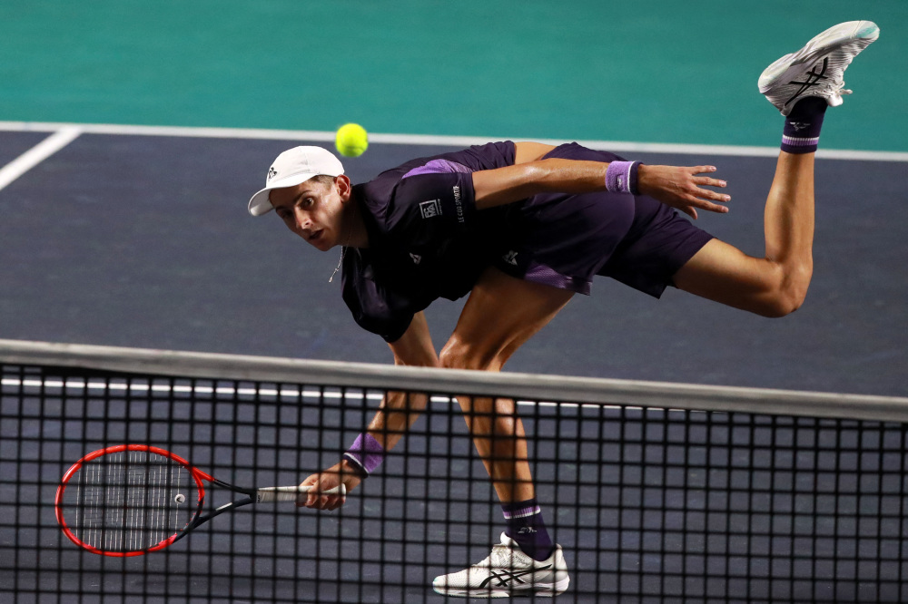 这些新星不 这些新星不