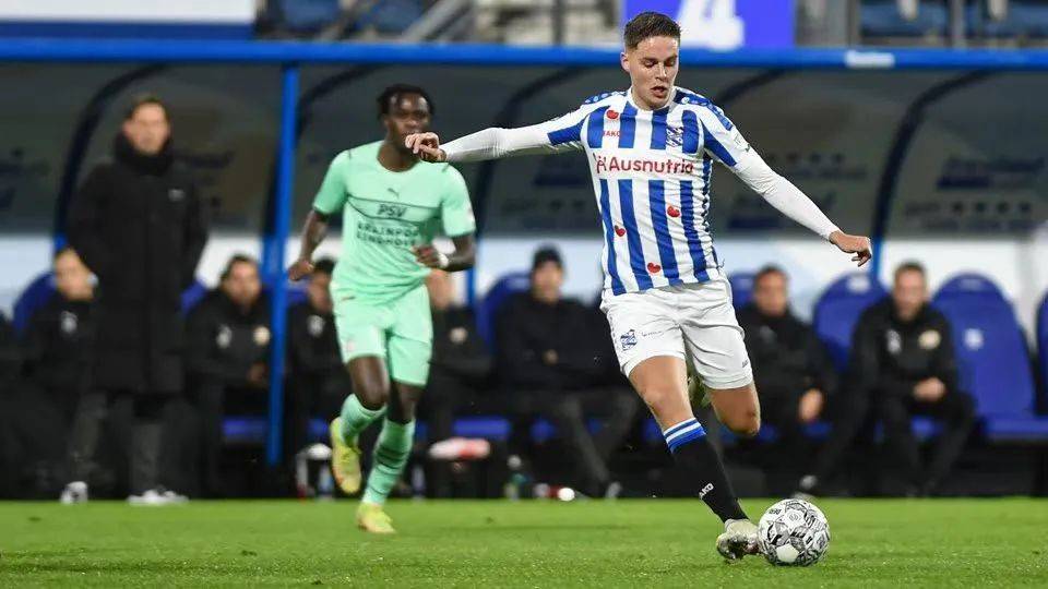 法和意见 法和意见