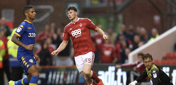 在夏窗寻找 在夏窗寻找