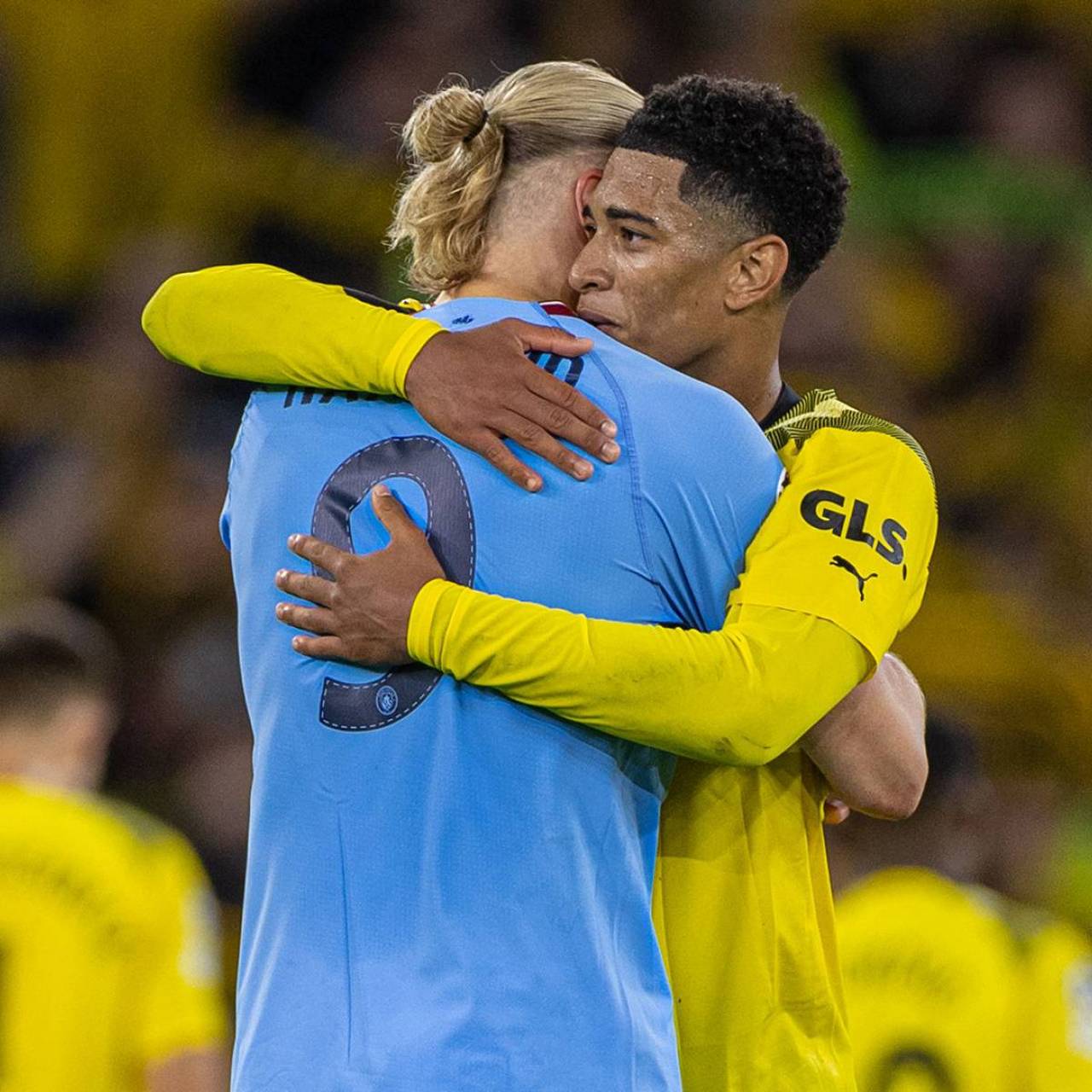 萨青训而来 萨青训而来